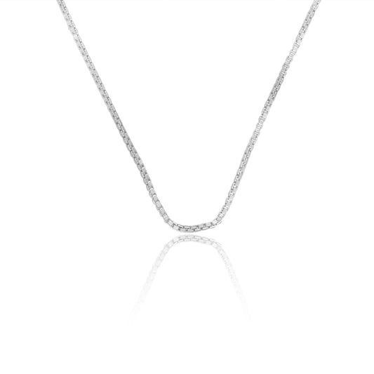 Strength with Significance Silver Chain- 26"